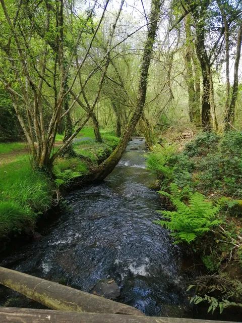 Rivière
