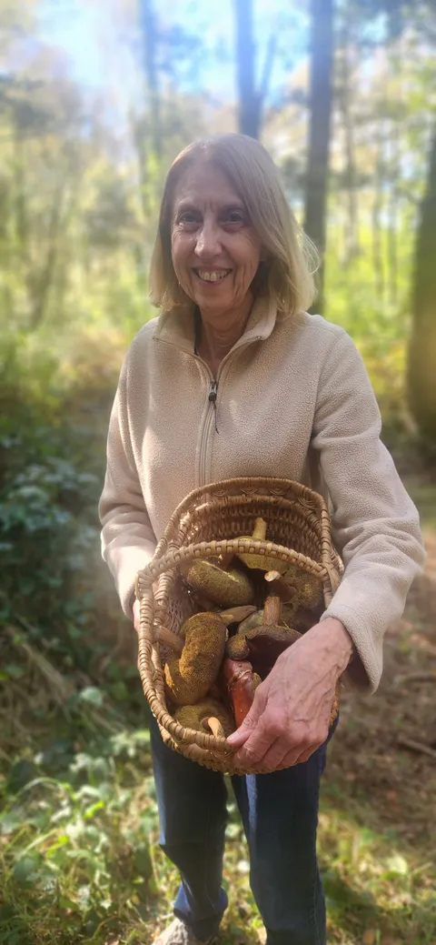 Un panier de champignons tout juste cueillis