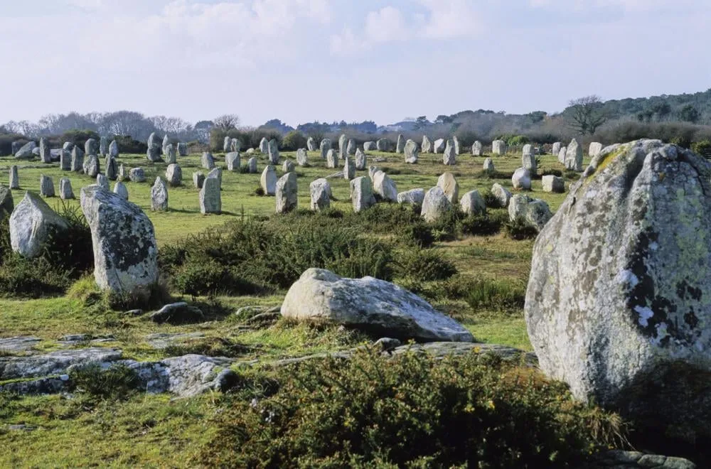 Les menhirs de Carnac